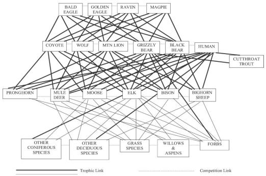 Le relazioni trofiche e di competizione tra alcuni animali del parco di Yellowstone. Lamentatevi dei miei schemi adesso. Immagine da Smith et al. 2003 BioScience