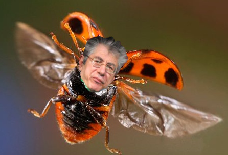 Ho fatto un sogno così una volta. Mi sono svegliato urlando. 