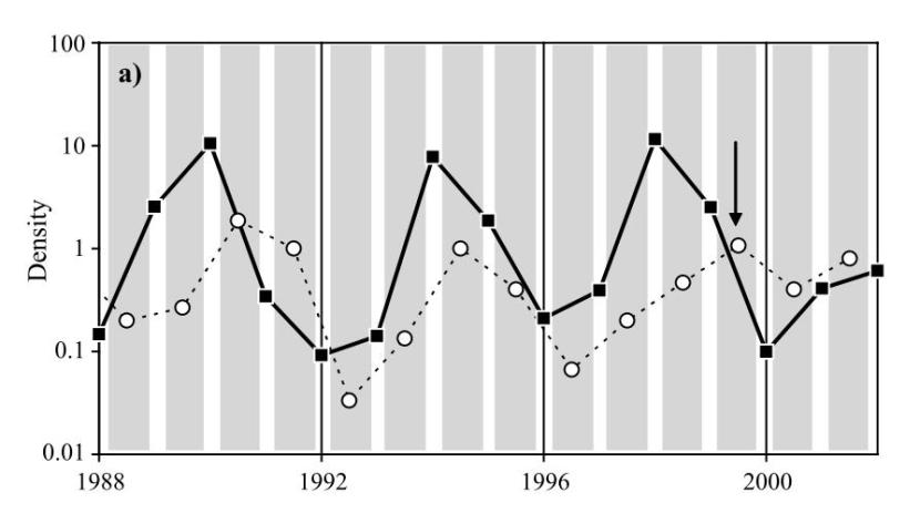 L’aumento o la diminuzione nel numero dei lemming (i quadrati neri) è seguito da un corrispondente aumento o diminuzione nel numero di ermellini (i pallini bianchi). La freccia nera indica un anno(1999) in cui gli ermellini sono aumentati nonostante i lemming siano diminuiti. La cosa sembra essere stata causata dalla morte di 15 buoi muschiati, che hanno fornito altro cibo agli ermellini durante l’inverno. La storia della loro morte è misteriosa ma sembra collegata all’uscita nei cinema di “La minaccia fantasma”. Immagine modificata da Sabard et. al 2006