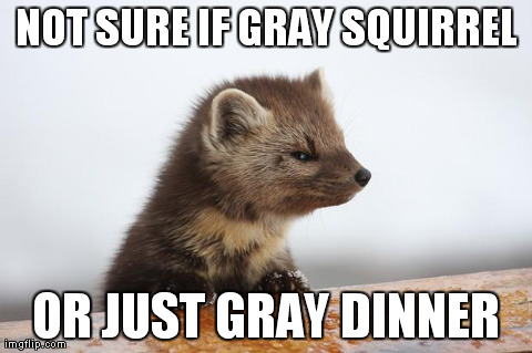 Immagine modificata da Travelling Steve