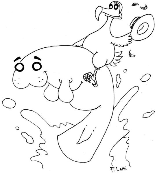 "Quello è un lamantino? Questo è un lamantino!". Immagine Francesco Lami