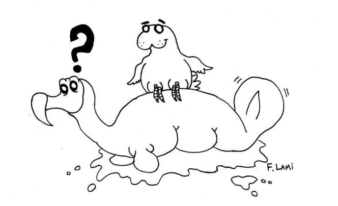 WTF is dis? Immagine Francesco Lami