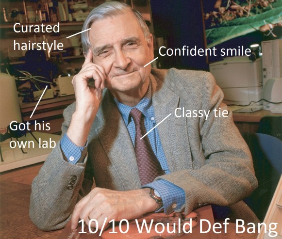 Alpha as fuck. Immagine modificata da Francesco Lami.