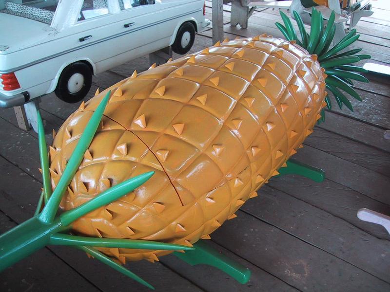 Una bara a forma di ananas. Se non la volete siete già morti ma qualcuno si è dimenticato di dirvelo.