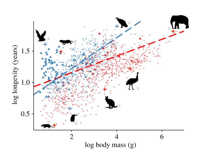 Relazione tra massa corporea e longevità in uccelli e mammiferi. Immagine modificata da Healy et al.2014