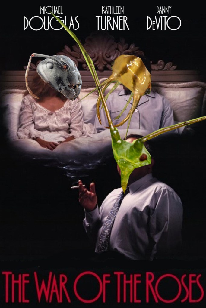 Ho un ricordo molto vago di questo film. Alla fine vinceva la formica o la crisopa? Immagine modificata da Francesco Lami.